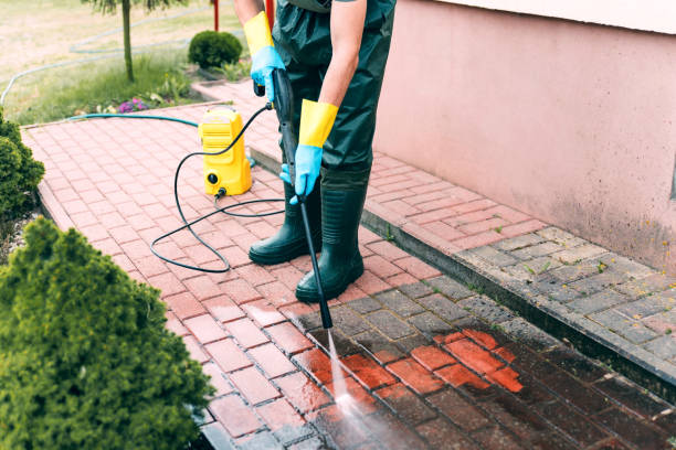 Professional Pressure Washing in Bridge City, LA