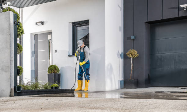 Best Gutter Cleaning  in Bridge City, LA